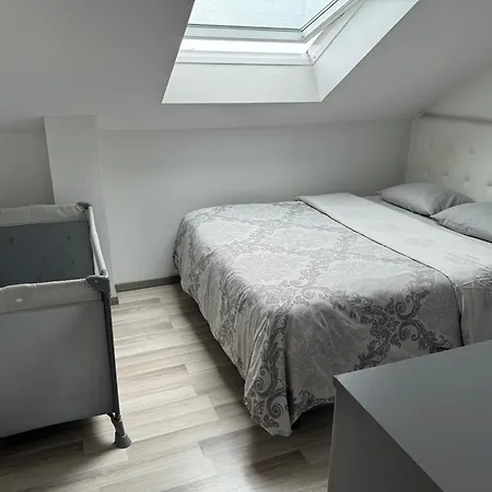Appartement Bes,, Attique Neuf Avec Confort Wittenheim Esterno foto